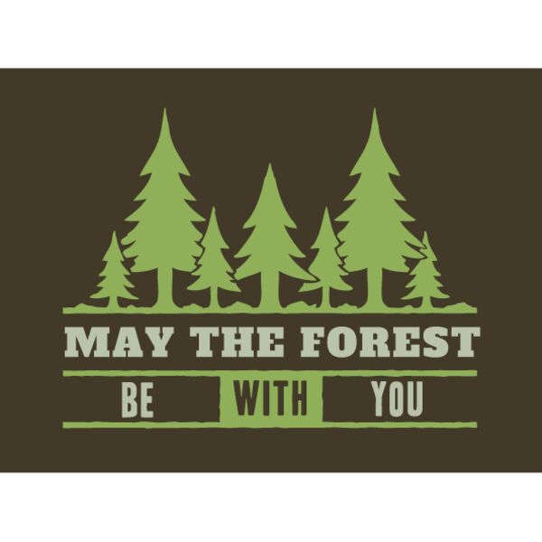 May The Forest Be With You Thumbnail
