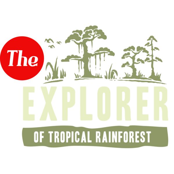 Rainforest Explorer Thumbnail
