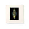 Organic Cotton Cushion Cover Thumbnail